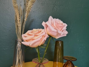 FLUX Studio & Gallery glass art