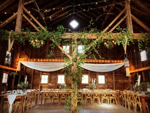 outdoor-wedding-setup-willow-trees-coxsackie
