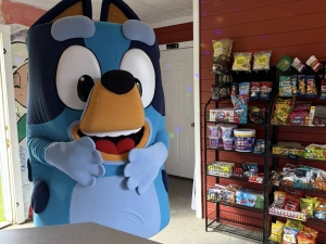 Jojo's Snack bar - Elliot Park in Catskill