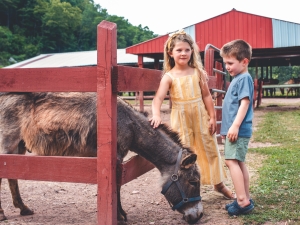 Bailiwick Animal Park & Riding Stables