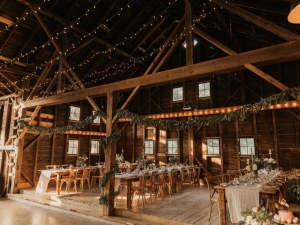 outdoor-wedding-setup-willow-trees-coxsackie