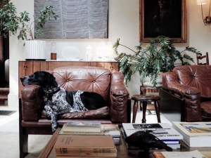 The Henson-dog friendly lodge