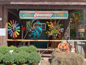 Catskill mountain country store