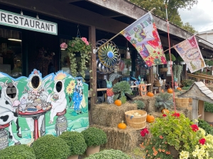Catskill mountain country store