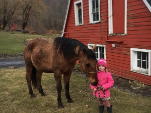 Mountain brook Farm