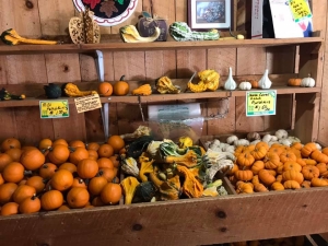 Boehm farm