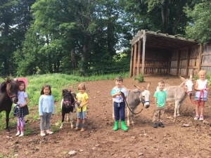 Mountain brook Farm