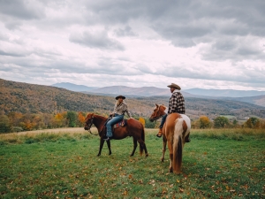 Mountain brook Farm