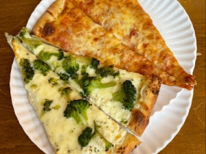 Village-Pizza-Catskill-NY