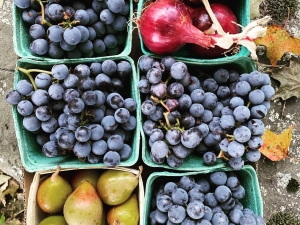 Haymarket Catskills-cafe-provisions-Hensonville-NY
