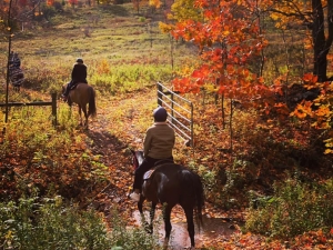 Mountain brook Farm