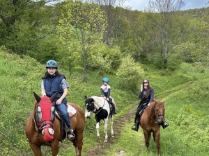 Mountain brook Farm