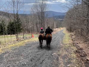 Mountain brook Farm