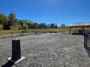 dog-park-near-hudson-river-coxsackie