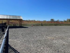 hudson-valley-dog-park-coxsackie
