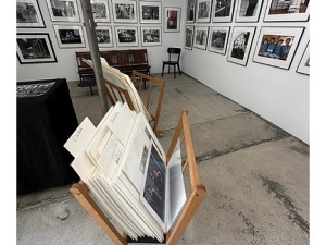 Hill-street-gallery-Catskill-photography