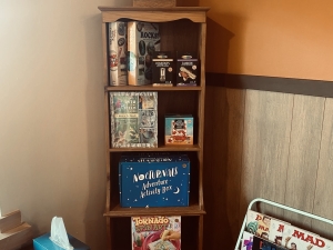 Kaaterskill-Kids-thrift-shop-kids-books-clubhouse
