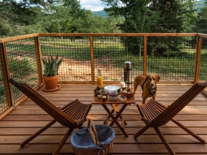 Pet-Friendly-Stay-Windham