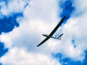 Nutmeg-Soaring-scenic-flights-catskills-greene-county 