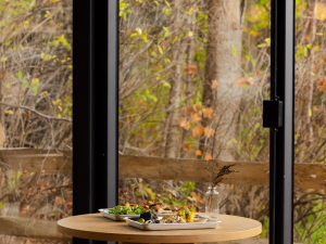 mountain-view-dining-windham-ny-Dandies-Eastwind