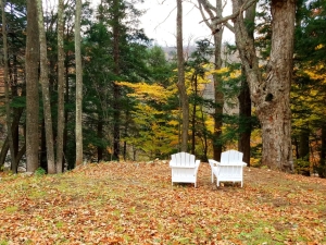 cozy-cabin-stay-prattsville-new-york