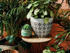 Garden-of-stone-casts-gifts-vintage-windham-ny