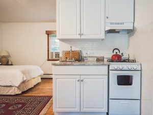 affordable-renovated-rustic-lodge-in-the-northern-catskills