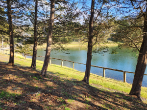 camp-catskills-RV-park-modern-camping-amenities