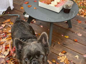 Fred's coffee and donuts