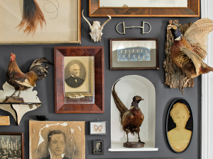 UnQuiet-coxsackie-antique-shop