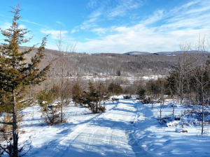 Bearpen-Mountain-Sports-snow-bike-rentals