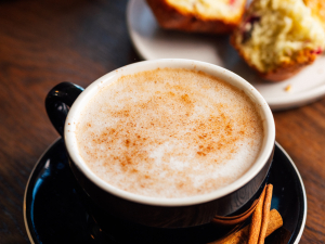 fellow-mountain-cafe-hunter-ny