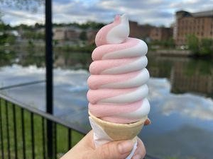 Cone-E-Island-ice-cream-catskill-ny