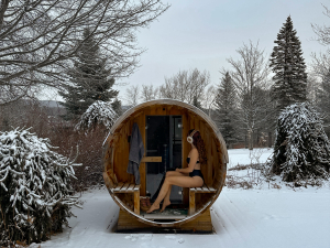winter-getaway-catskills-hotel-vienna