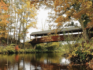 fall-foliage-windham-path-near-hotel-vienna