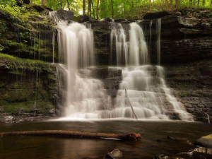 cozy-tiny-house-getaway-new-york