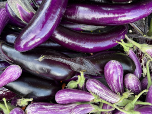 Vernon-Street-Farm-Athens-NY