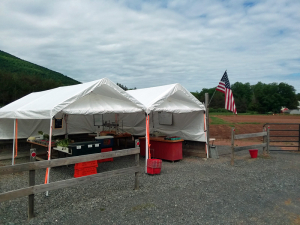 scribner-hollow-farm-stand-cage-free-chickens-fresh-eggs