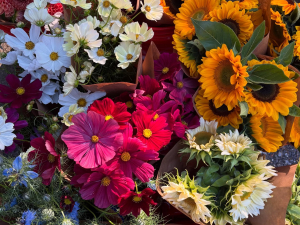 Vernon-Street-Farm-Athens-NY