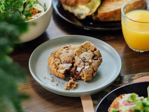 fellow-mountain-cafe-hunter-ny