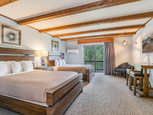 indoor-heated-pool-catskills-lodging-hotel-vienna