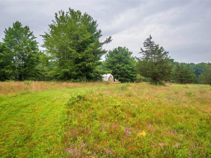 pleasant-valley-campsite-christman's-windham-mountain-