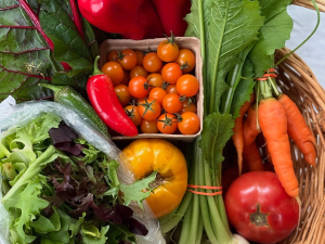 Vernon-Street-Farm-Athens-NY