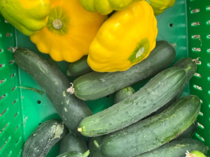 Vernon-Street-Farm-Athens-NY