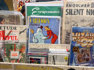 Sleepover-Trading-co-retro-video-catskill-ny