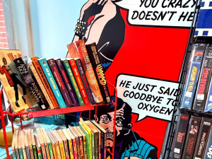 Sleepover-Trading-co-retro-video-catskill-ny