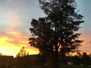 Sun-View-Hotel-lodging-in-the-catskills