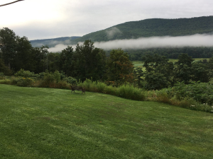 catskills-mountain-view-motel-stay