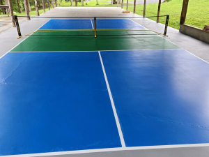 camp-catskills-RV-park-Pickleball