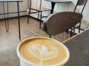 Loomie's-Luncheonette-catskill-village-ny